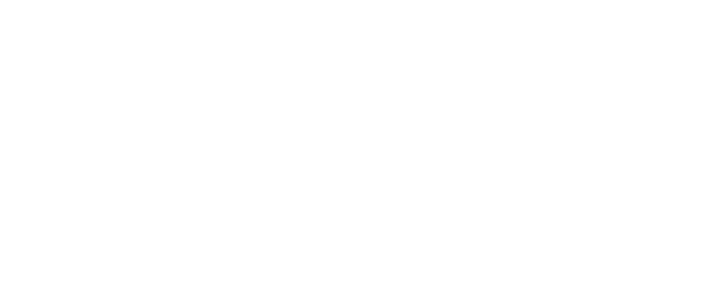 SSTK Elite Holdings Logo white